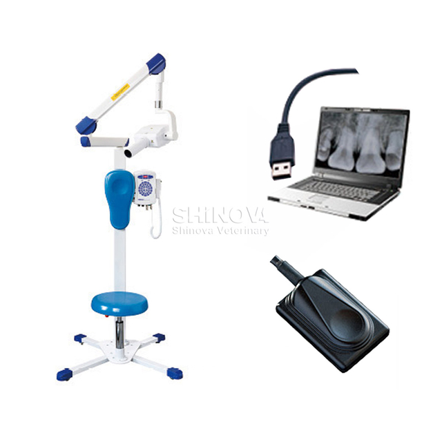 Digital Dental X-Ray Lmuaging System (Dental DR)