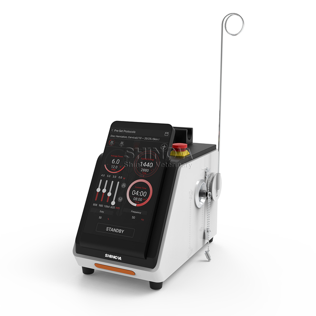 Sistem Terapi Laser Dioda Portabel