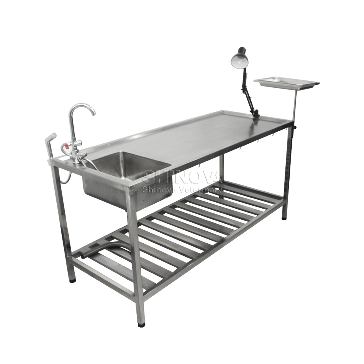 Meja Diseksi Hewan Stainless Steel