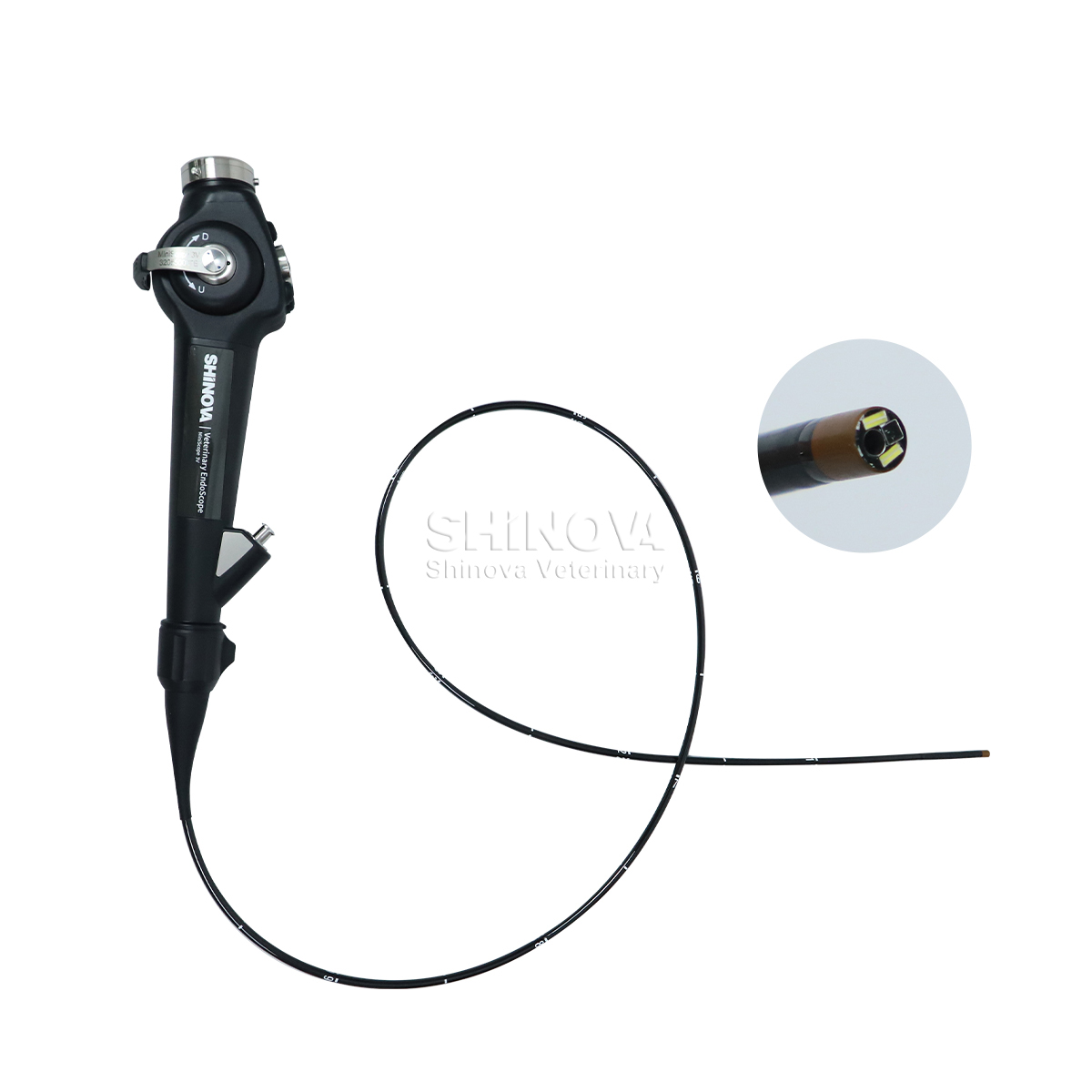 Endoskop veteriner portabel (3.8mm)