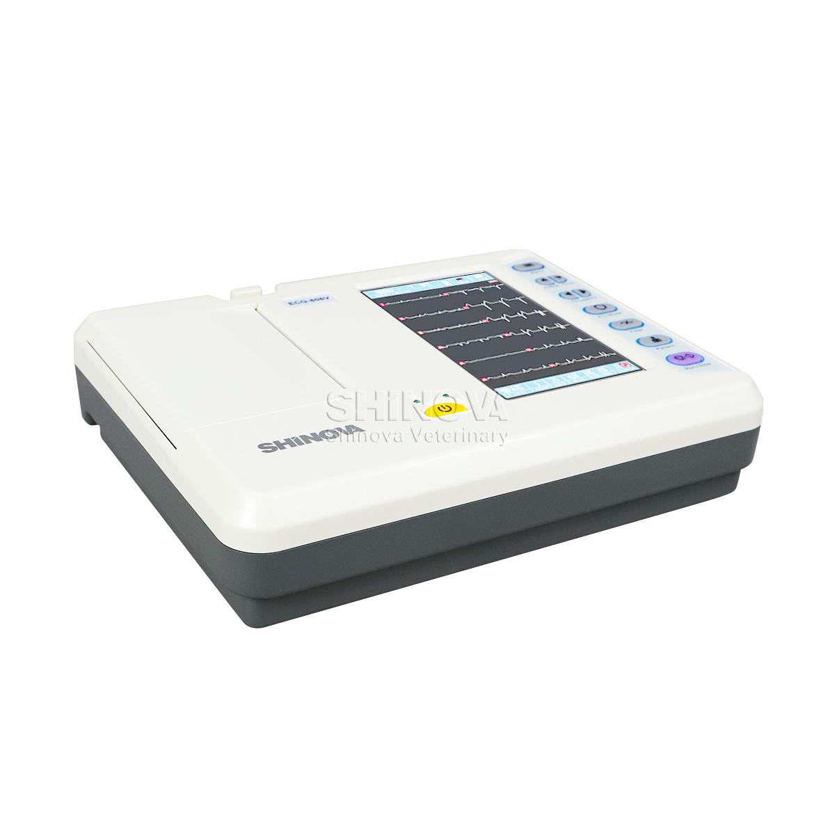 Mesin EKG Hewan Portabel Elektrokardiagraf