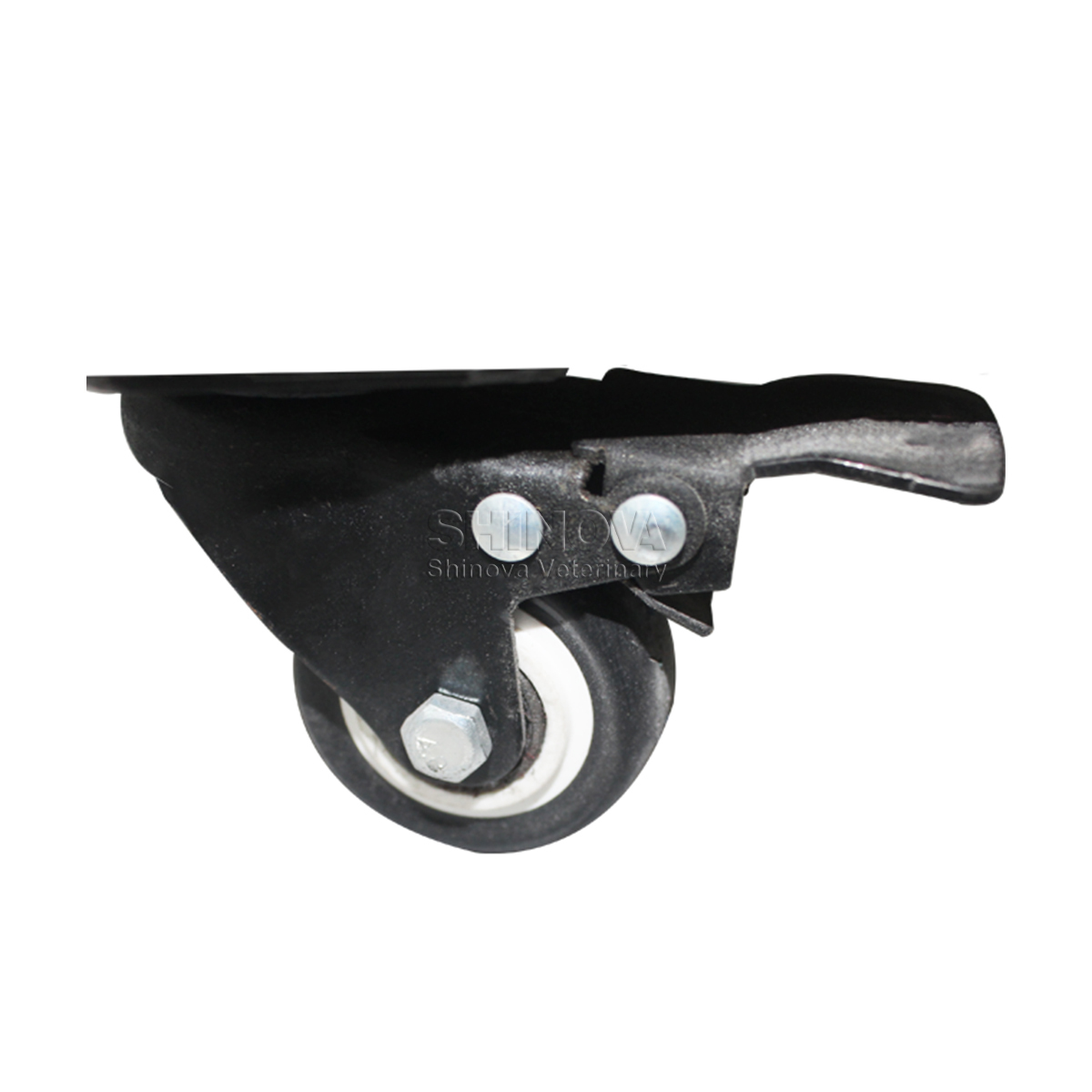 Kandang injeksi stainless steel