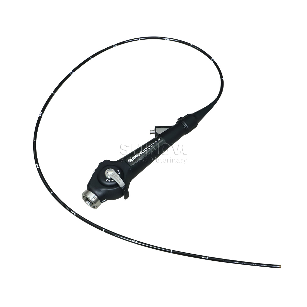 Endoskop veteriner portabel (4.8mm)