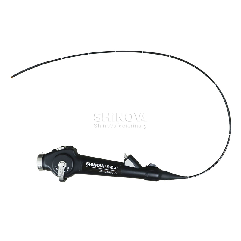 Endoskop veteriner portabel (2.8mm)