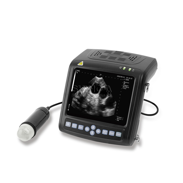 Pemindai ultrasonografi digital veteriner genggam